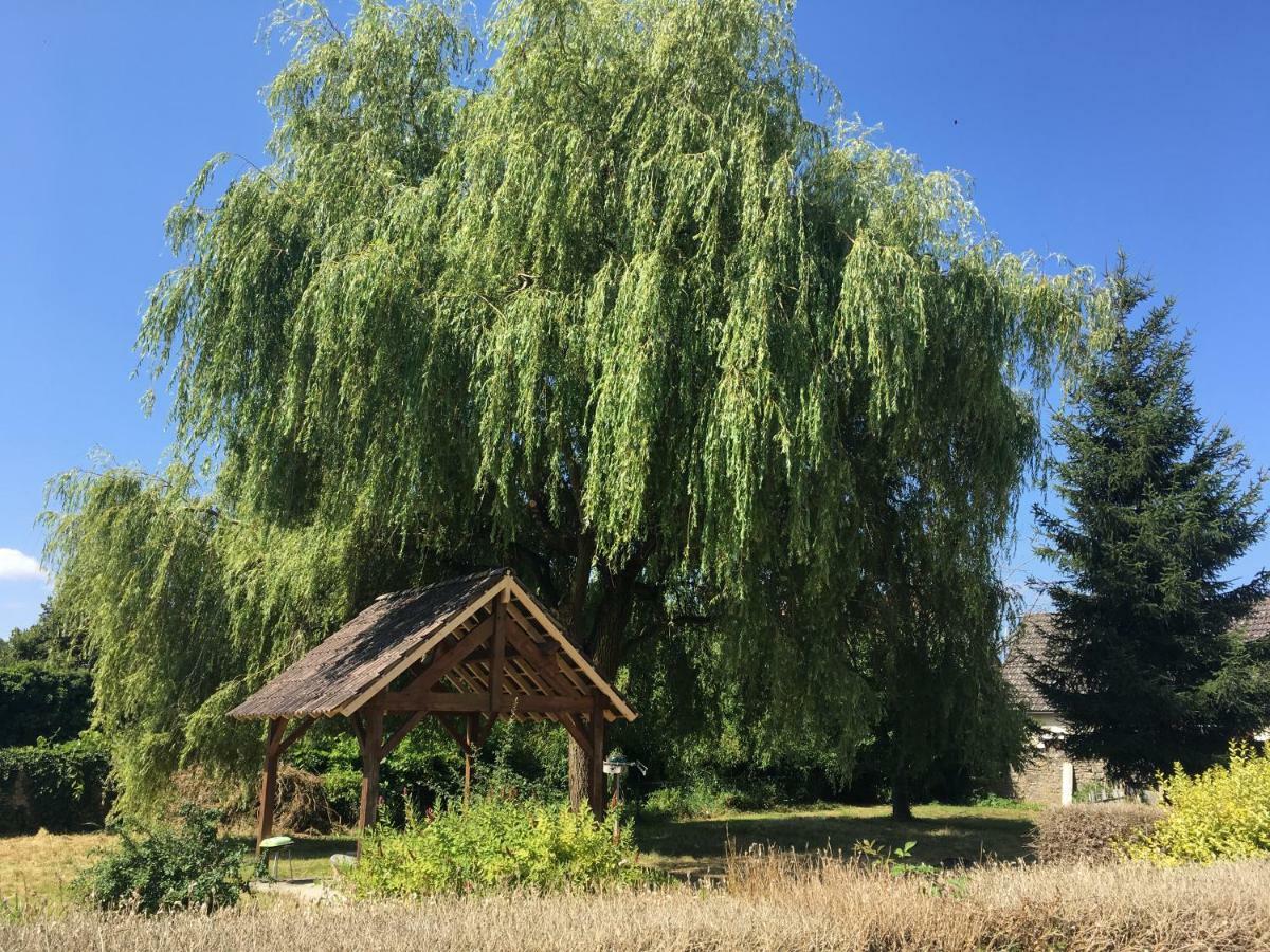 Charmant T2 RDC dans résidence avec parc arboré Saint-Pierre-le-Moûtier Esterno foto